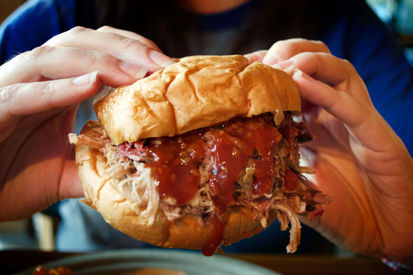 A pulled pork sandwich