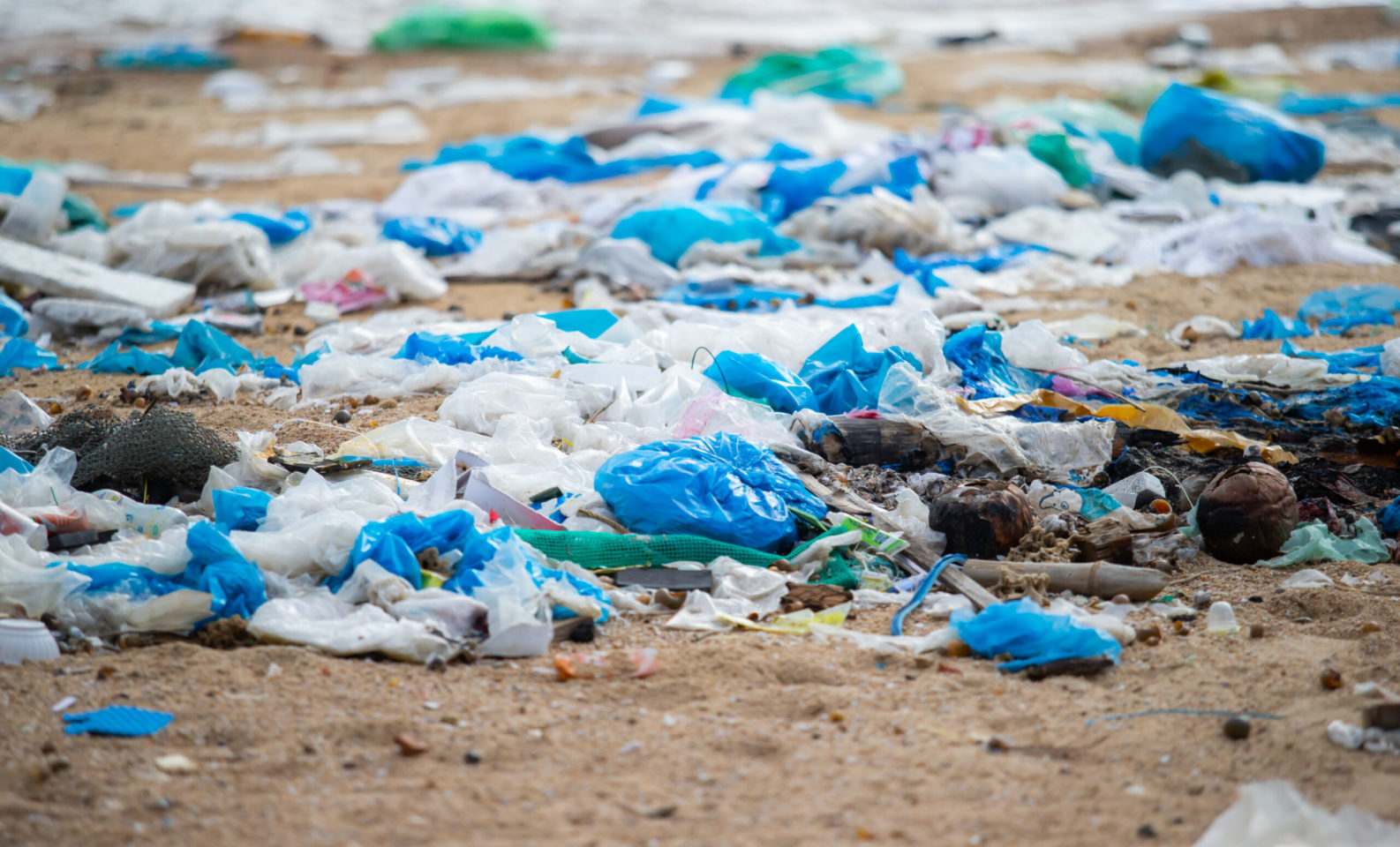 Photo credit: GreenHub. Difficult-to-recycle plastics like plastic bags are a scourge for our ocean and chemical recycling is not the solution.