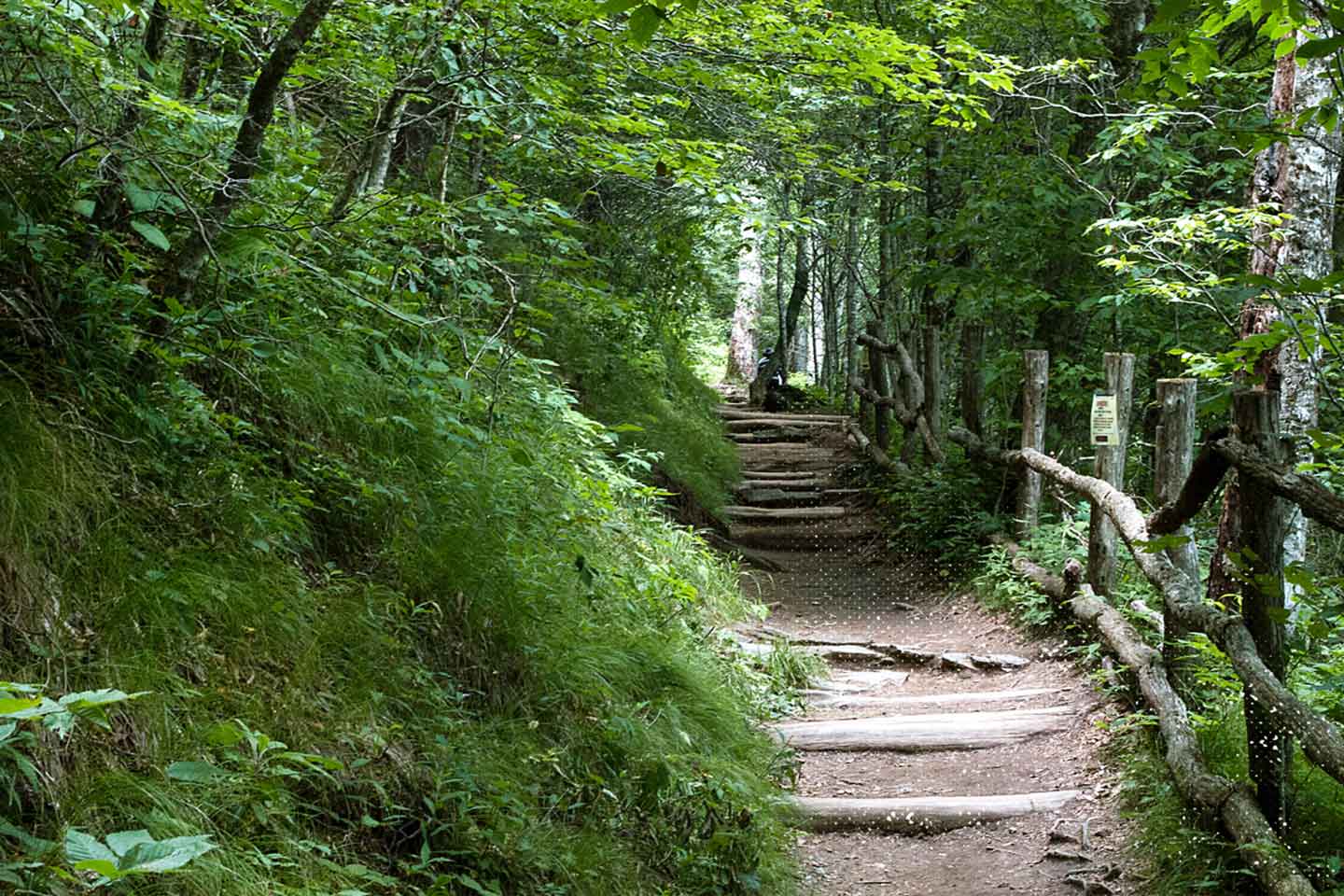 Outdoor walking trail