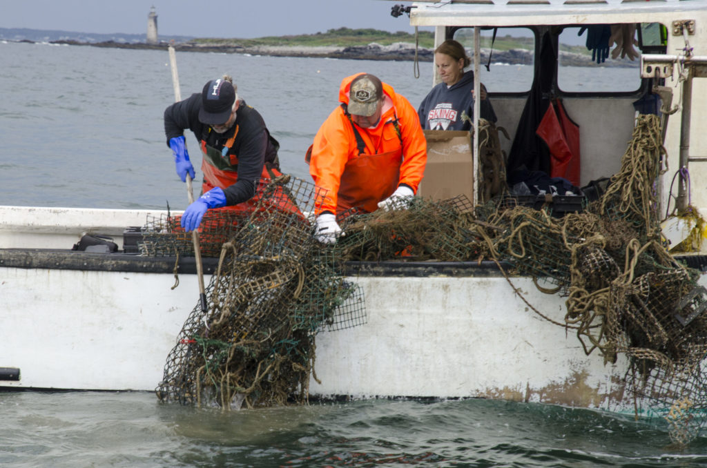 Ghost gear retrieval in Maine