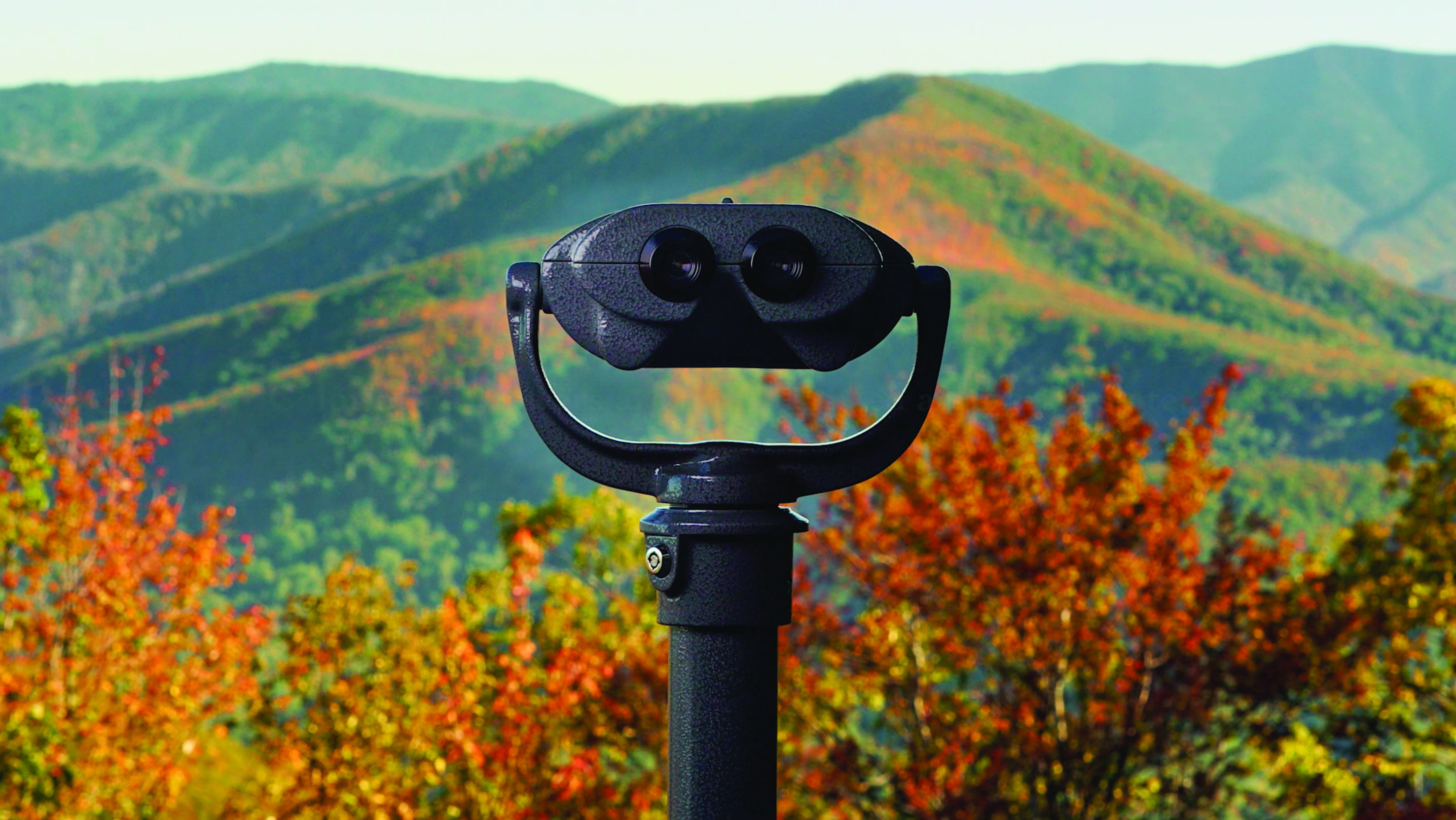 Colorblind Viewfinder in Tennessee