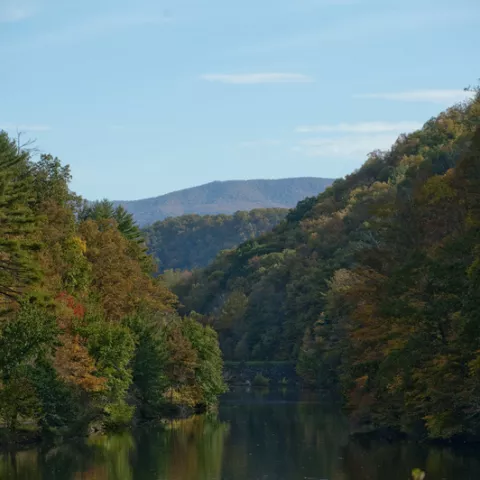 Steele Creek Park & Nature Center