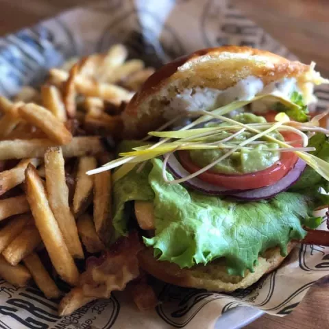 Burger and Fries