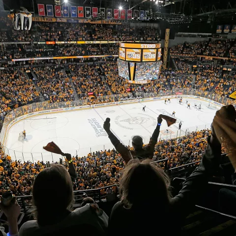 Nashville Predators hockey game