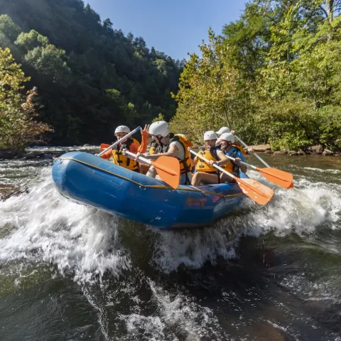 Blue raft with group of rafters on a wave on the Ocoee River surrounded by trees in the background