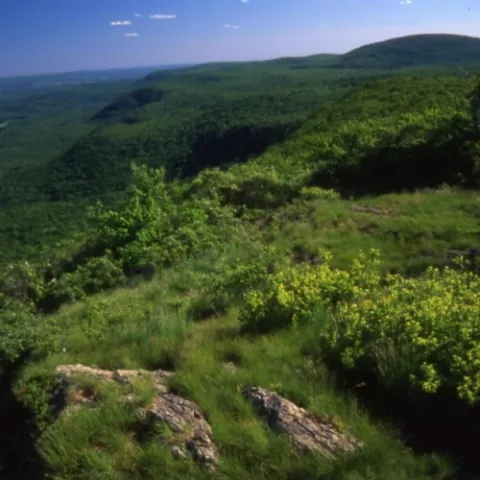 Appalachian National Scenic Trail