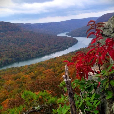 The Tennessee River Gorge