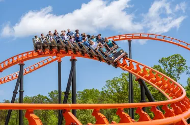 Big Bear Mountain coaster at Dollywood in Pigeon Forge, TN