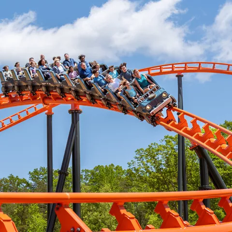 Big Bear Mountain coaster at Dollywood in Pigeon Forge, TN