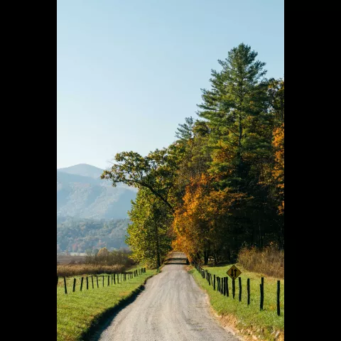 Cades Cove - Photo by Josh Ness