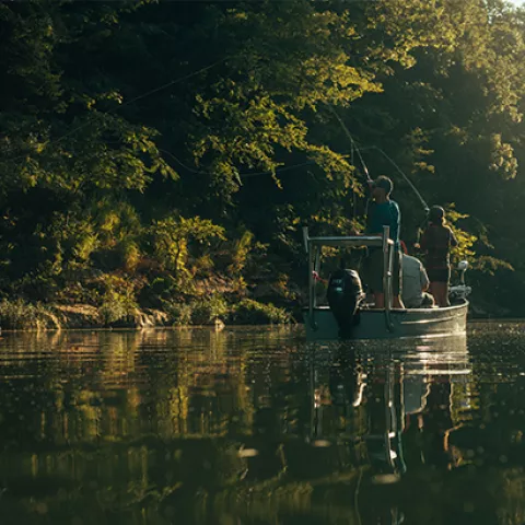 Fishing