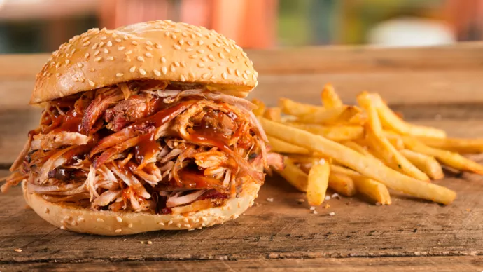 Pulled Pork and Fries