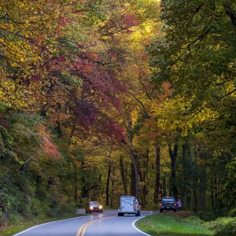 Newfound Gap in the Great Smoky Mountains, TN