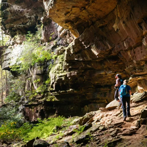 Big South Fork National River and Recreation Area