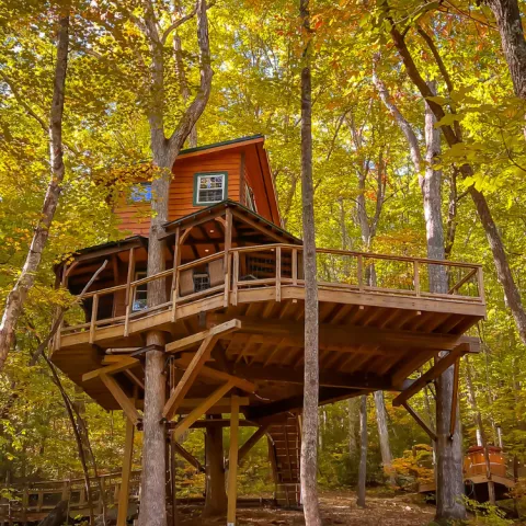 The Rubicon treehouse at Treehouse Mountain in October