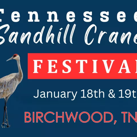 Tennessee Sandhill Crane Festival