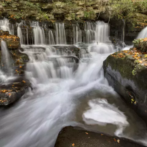 Sink Creek Falls