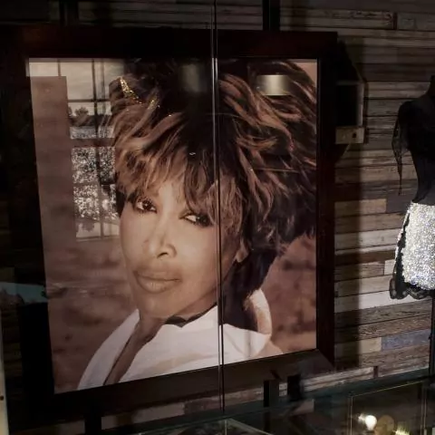 Tina Turner Museum located inside the historic  Flagg Grove School