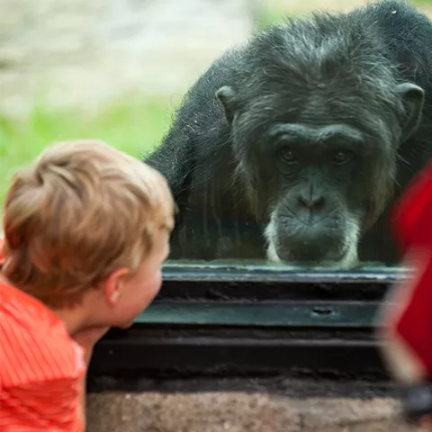 Chattanooga Zoo 