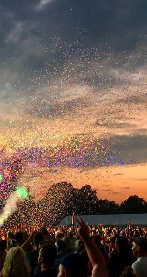 Bonnaroo Music & Art Festival in Manchester, TN