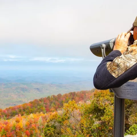 Colorblind Viewfinder in Tennessee